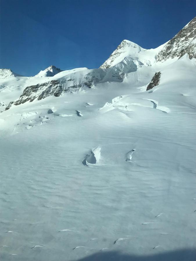 Chalet Burglauenen Grindelwald Eksteriør bilde